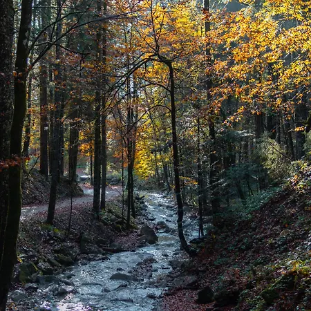 Hotel Sonnenbichl 2*