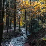 Отель Sonnenbichl 2*