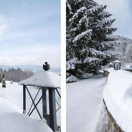 Sonnenbichl فندق باد ويسي